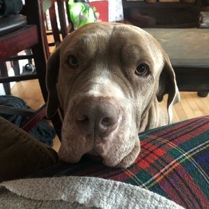 Meet your Posher, Julianne